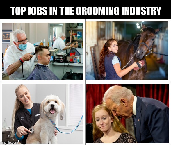 Just gonna leave this here... | TOP JOBS IN THE GROOMING INDUSTRY | image tagged in basic four panel meme | made w/ Imgflip meme maker