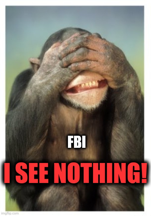 Monkey covers eyes | FBI I SEE NOTHING! | image tagged in monkey covers eyes | made w/ Imgflip meme maker