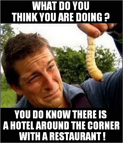Bear Grylls: Adventurer Or Idiot ? You Decide ! | WHAT DO YOU THINK YOU ARE DOING ? YOU DO KNOW THERE IS 
A HOTEL AROUND THE CORNER
 WITH A RESTAURANT ! | image tagged in fun,bear grylls,witchetty grub,restaurant | made w/ Imgflip meme maker