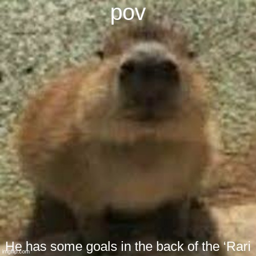 any rp goes | pov; He has some goals in the back of the ‘Rari | image tagged in gort,rp | made w/ Imgflip meme maker