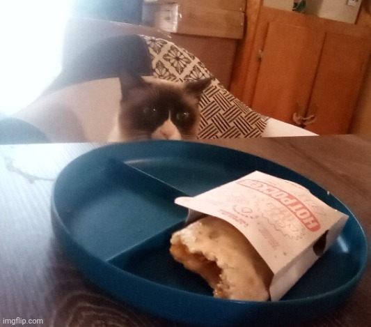 i found this old image of my cat plotting to steal my hot pocket | made w/ Imgflip meme maker