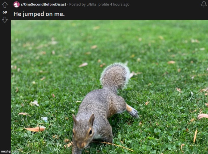 He jumped on me. | made w/ Imgflip meme maker