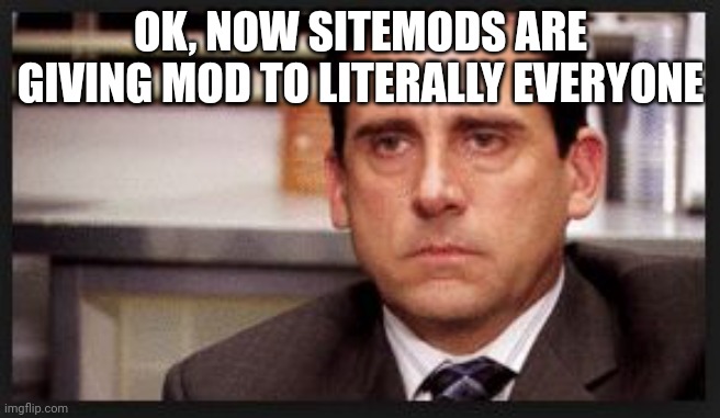 irritated | OK, NOW SITEMODS ARE GIVING MOD TO LITERALLY EVERYONE | image tagged in irritated | made w/ Imgflip meme maker