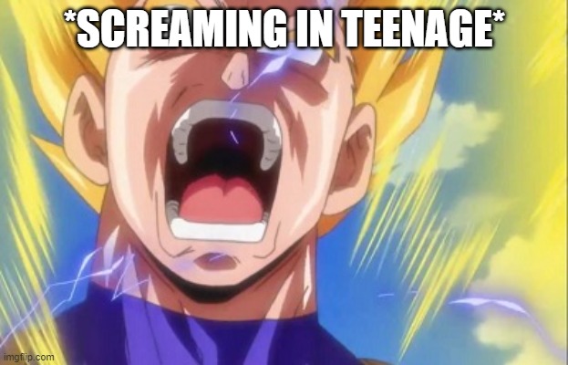 Angry Vegeta | *SCREAMING IN TEENAGE* | image tagged in angry vegeta | made w/ Imgflip meme maker