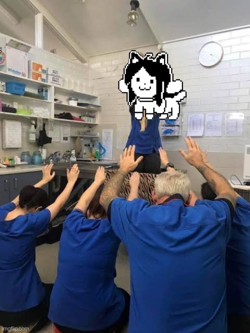 People Worshipping The Cat | image tagged in people worshipping the cat | made w/ Imgflip meme maker