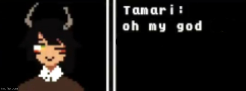i think the SMs need to be more careful with giving away mod... I know they're giving second chances but they gave one to an 11  | image tagged in tamari omg | made w/ Imgflip meme maker