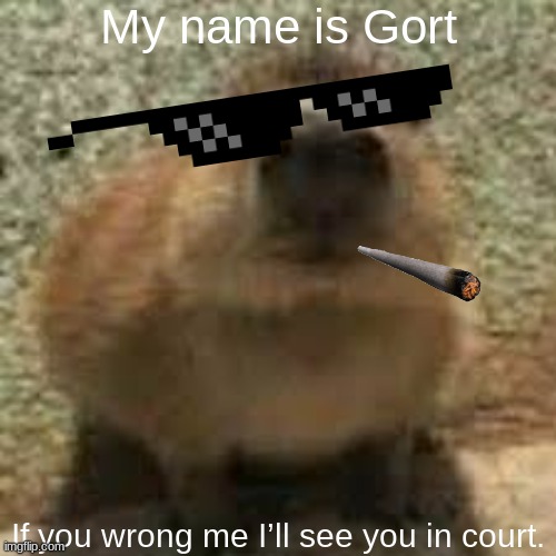 gort | My name is Gort; If you wrong me I’ll see you in court. | image tagged in gort,memes,funny,oc,rp | made w/ Imgflip meme maker