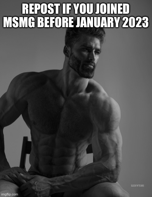 Rare post from May 2024 | REPOST IF YOU JOINED MSMG BEFORE JANUARY 2023 | image tagged in giga chad | made w/ Imgflip meme maker