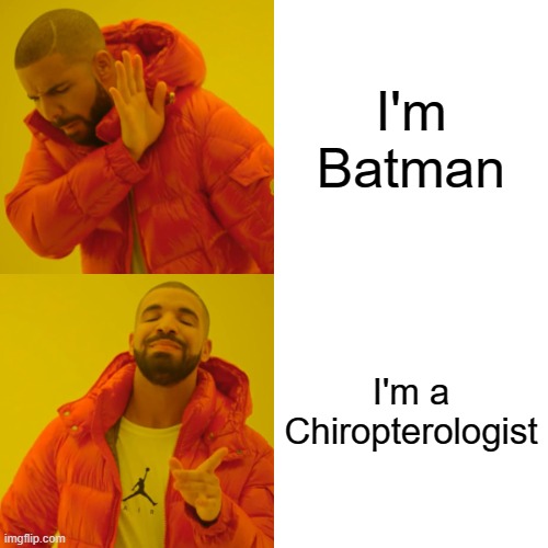 Drake Hotline Bling Meme | I'm Batman; I'm a Chiropterologist | image tagged in memes,drake hotline bling | made w/ Imgflip meme maker