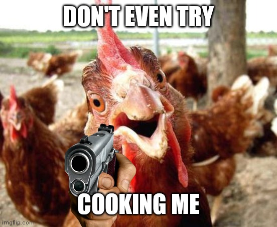 (•﹏•) | DON'T EVEN TRY; COOKING ME | image tagged in chicken,pointing gun | made w/ Imgflip meme maker