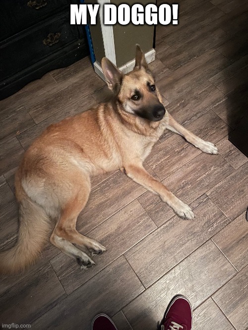 MY DOGGO! | made w/ Imgflip meme maker