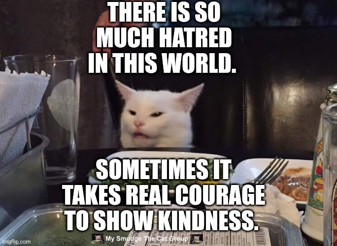 THERE IS SO MUCH HATRED IN THIS WORLD. SOMETIMES IT TAKES REAL COURAGE TO SHOW KINDNESS. | image tagged in smudge the cat,cats | made w/ Imgflip meme maker