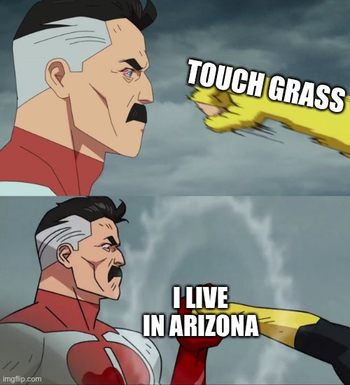 Alternatively you can say you live in Greenland or the Rockies | TOUCH GRASS; I LIVE IN ARIZONA | image tagged in omni man blocks punch,touch grass,punch block,block | made w/ Imgflip meme maker