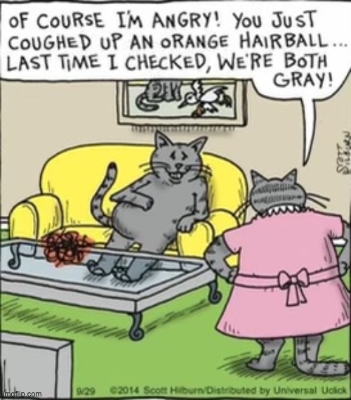 My dad sent me this :skull: | image tagged in funny cat memes,cats,yes | made w/ Imgflip meme maker