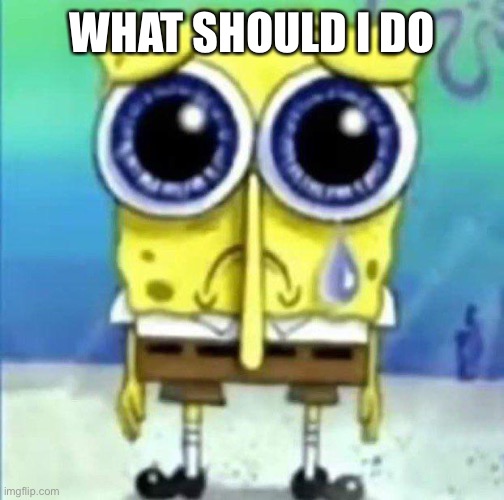 Spunch Bop | WHAT SHOULD I DO | image tagged in spunch bop | made w/ Imgflip meme maker