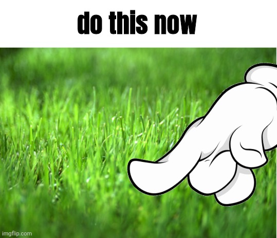 do this now | image tagged in grass is greener | made w/ Imgflip meme maker