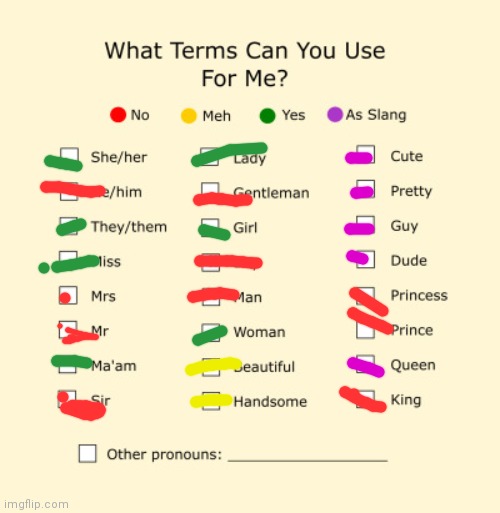 Pronouns Sheet | image tagged in pronouns sheet | made w/ Imgflip meme maker