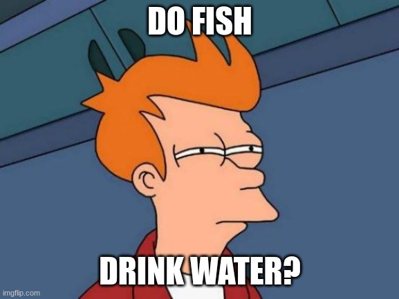 Futurama Fry Meme | DO FISH; DRINK WATER? | image tagged in memes,futurama fry | made w/ Imgflip meme maker