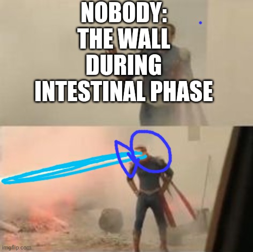 Homelander Scared | NOBODY: THE WALL DURING INTESTINAL PHASE | image tagged in homelander scared | made w/ Imgflip meme maker