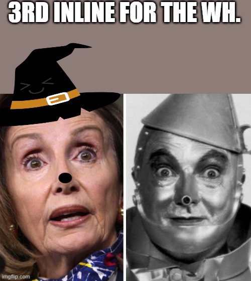 TIN NANCY | 3RD INLINE FOR THE WH. | image tagged in war criminal | made w/ Imgflip meme maker