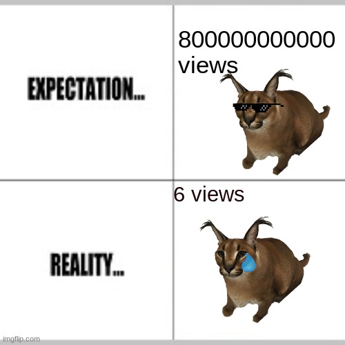 my views on memes and gifs | 800000000000 views; 6 views | image tagged in expectation vs reality | made w/ Imgflip meme maker