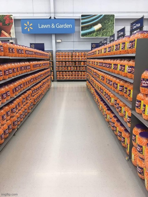 (mod note: perfect) | image tagged in i need my cheese balls | made w/ Imgflip meme maker