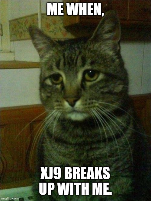 Depressed Cat Meme | ME WHEN, XJ9 BREAKS UP WITH ME. | image tagged in memes,depressed cat | made w/ Imgflip meme maker