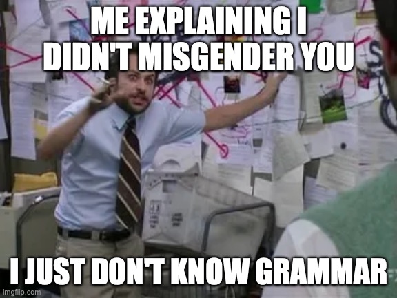 misgendering | ME EXPLAINING I DIDN'T MISGENDER YOU; I JUST DON'T KNOW GRAMMAR | image tagged in misgendering | made w/ Imgflip meme maker