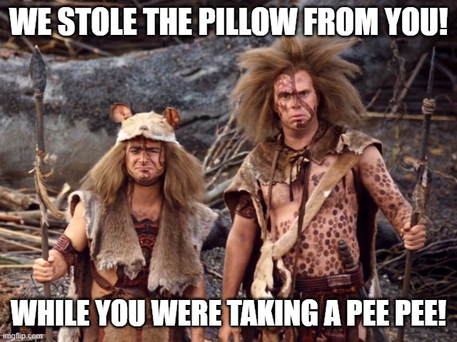 WE STOLE THE PILLOW FROM YOU! WHILE YOU WERE TAKING A PEE PEE! | made w/ Imgflip meme maker