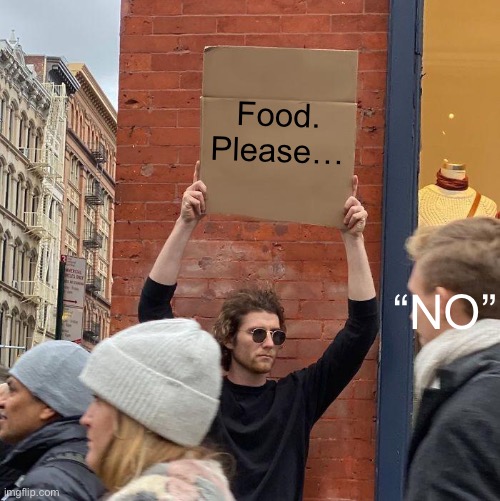 Food. | Food. Please…; “NO” | image tagged in memes,guy holding cardboard sign | made w/ Imgflip meme maker