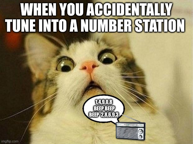 Scared Cat Meme | WHEN YOU ACCIDENTALLY TUNE INTO A NUMBER STATION; 1,4,9,0,8  BEEP BEEP BEEP  2,8,6,9,3 | image tagged in memes,scared cat | made w/ Imgflip meme maker