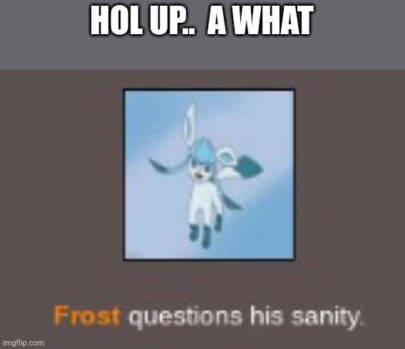 insane glaceon | HOL UP..  A WHAT | image tagged in insane glaceon | made w/ Imgflip meme maker