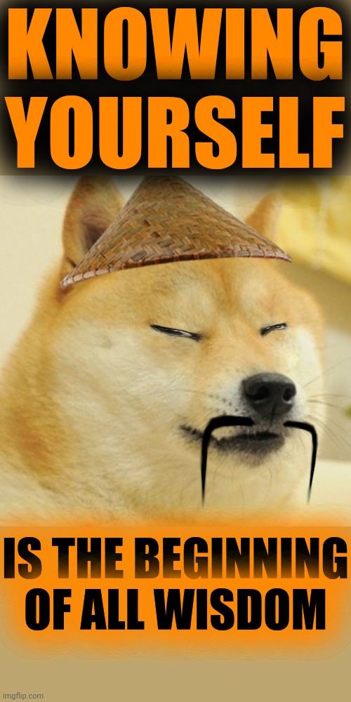 Barkfucius asian Doge Barkfucious | KNOWING YOURSELF IS THE BEGINNING OF ALL WISDOM | image tagged in barkfucius asian doge barkfucious | made w/ Imgflip meme maker