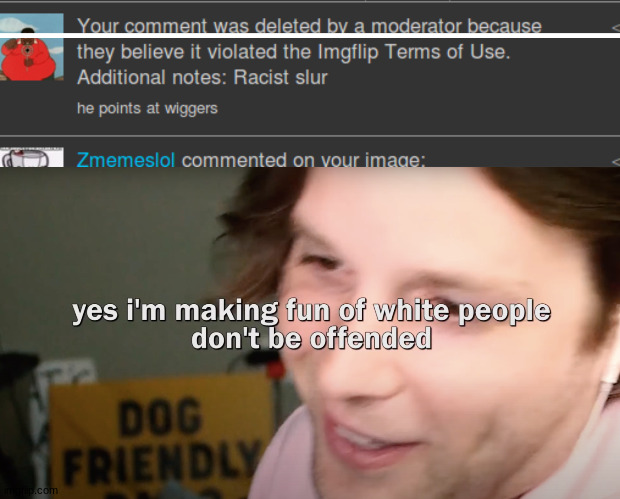 i got an 8 hours comment ban bc of this | image tagged in racist yub | made w/ Imgflip meme maker