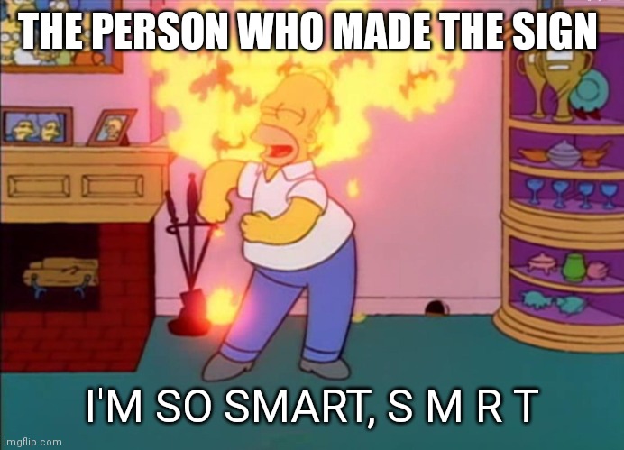 I am so smart smrt | THE PERSON WHO MADE THE SIGN I'M SO SMART, S M R T | image tagged in i am so smart smrt | made w/ Imgflip meme maker