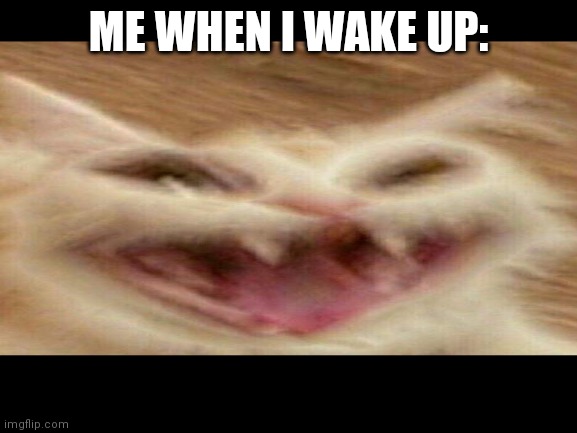 Hehe |  ME WHEN I WAKE UP: | image tagged in cursed,what the hell is this | made w/ Imgflip meme maker