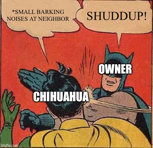 Batman Slapping Robin | *SMALL BARKING NOISES AT NEIGHBOR; SHUDDUP! OWNER; CHIHUAHUA | image tagged in memes,batman slapping robin | made w/ Imgflip meme maker