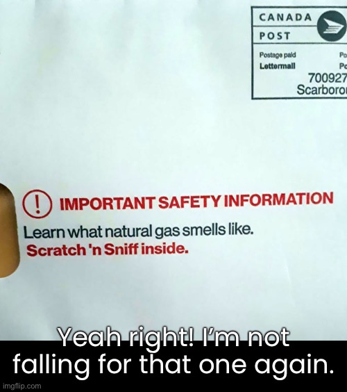 It smells like… | Yeah right! I’m not falling for that one again. | image tagged in funny memes,gas,farts | made w/ Imgflip meme maker