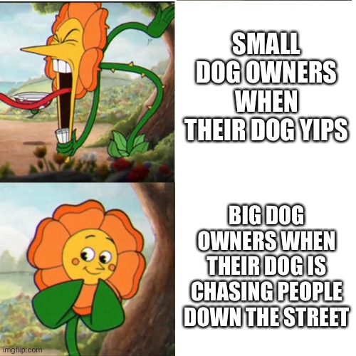 Cuphead Flower | SMALL DOG OWNERS WHEN THEIR DOG YIPS; BIG DOG OWNERS WHEN THEIR DOG IS CHASING PEOPLE DOWN THE STREET | image tagged in cuphead flower | made w/ Imgflip meme maker