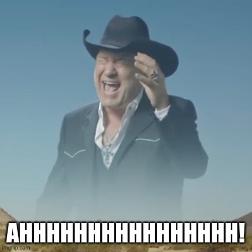 Screaming cowboy | AHHHHHHHHHHHHHHHH! | image tagged in screaming cowboy | made w/ Imgflip meme maker