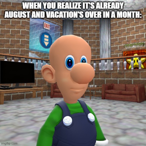 oh shoot | WHEN YOU REALIZE IT'S ALREADY AUGUST AND VACATION'S OVER IN A MONTH: | image tagged in luigi | made w/ Imgflip meme maker
