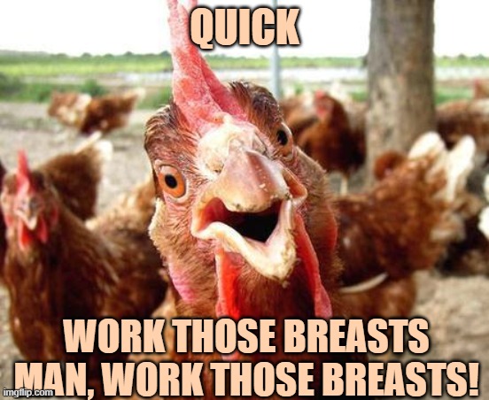 Chicken | QUICK WORK THOSE BREASTS MAN, WORK THOSE BREASTS! | image tagged in chicken | made w/ Imgflip meme maker