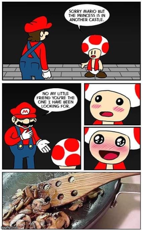 JUST NEEDED SOME GOOD MUSHROOMS FOR DINNER | image tagged in super mario bros,toad,mushrooms,nintendo | made w/ Imgflip meme maker