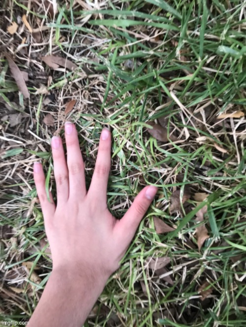 Just posting this image of me touching grass | made w/ Imgflip meme maker