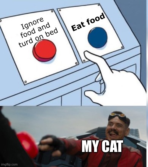 Two Buttons Eggman | Eat food; Ignore food and turd on bed; MY CAT | image tagged in two buttons eggman | made w/ Imgflip meme maker