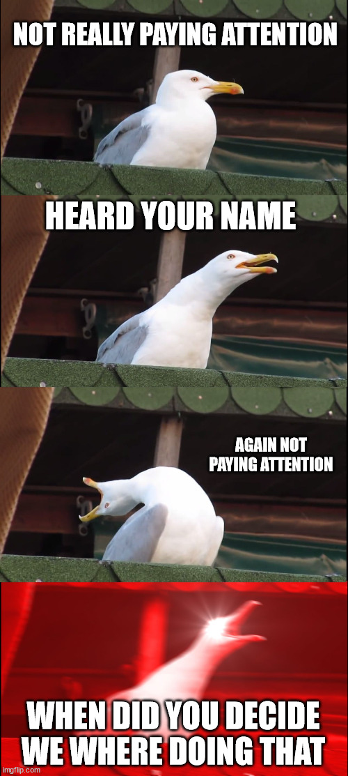 Inhaling Seagull | NOT REALLY PAYING ATTENTION; HEARD YOUR NAME; AGAIN NOT PAYING ATTENTION; WHEN DID YOU DECIDE WE WHERE DOING THAT | image tagged in memes,inhaling seagull | made w/ Imgflip meme maker