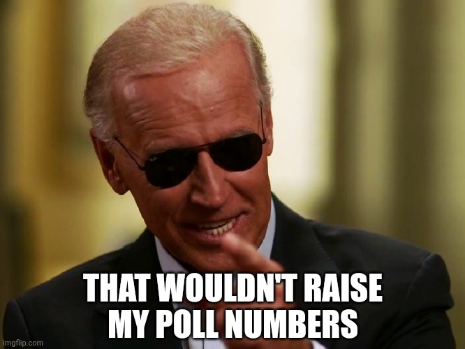 Cool Joe Biden | THAT WOULDN'T RAISE
MY POLL NUMBERS | image tagged in cool joe biden | made w/ Imgflip meme maker