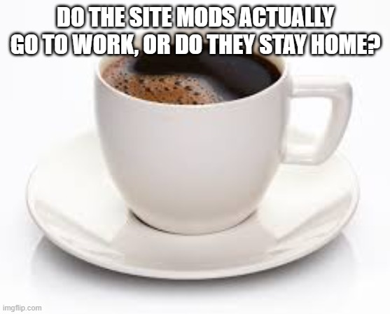 Coffee Cup | DO THE SITE MODS ACTUALLY GO TO WORK, OR DO THEY STAY HOME? | image tagged in coffee cup,imgflip,memes,president_joe_biden | made w/ Imgflip meme maker
