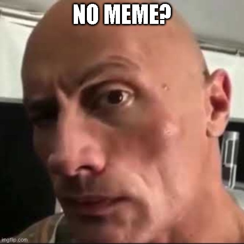 No Meme? | NO MEME? | image tagged in fun | made w/ Imgflip meme maker