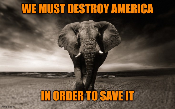 Angry elephant Republican death threats | WE MUST DESTROY AMERICA IN ORDER TO SAVE IT | image tagged in angry elephant republican death threats | made w/ Imgflip meme maker